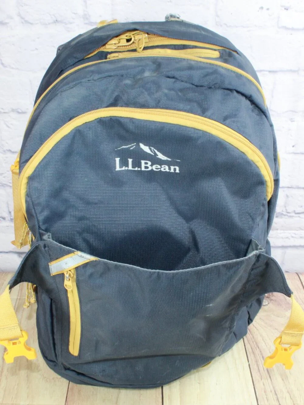 READ–LL Bean Unisex Adult Comfort Carry Portable Locker Pack 42L Backpack Hiking